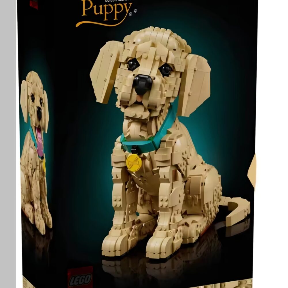 Modelex Building Block Sets - Puppy Dog